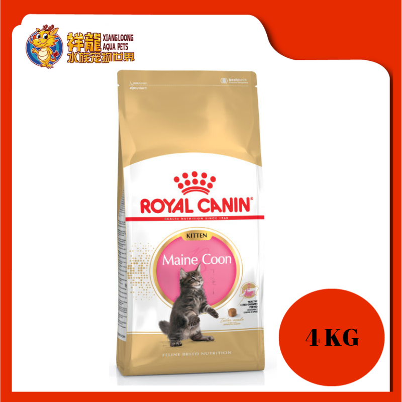 Royal canin maine coon kitten 4 kg 2025