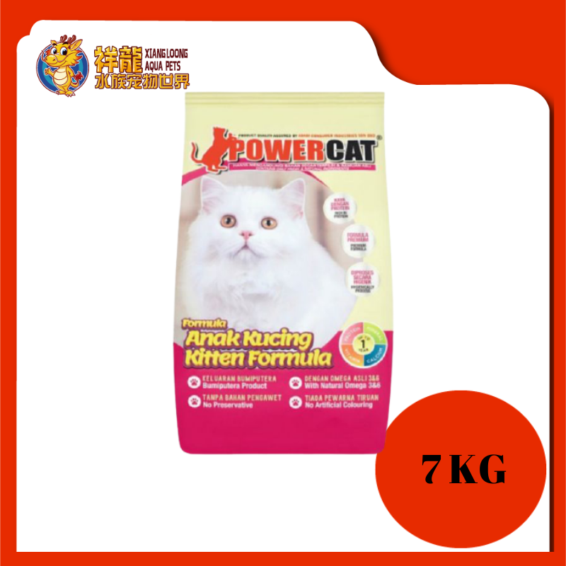 Power cat kitten formula online