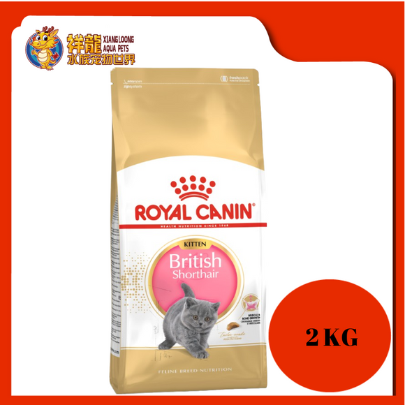 ROYAL CANIN BRITISH SHORT HAIR KITTEN FOOD 2KG