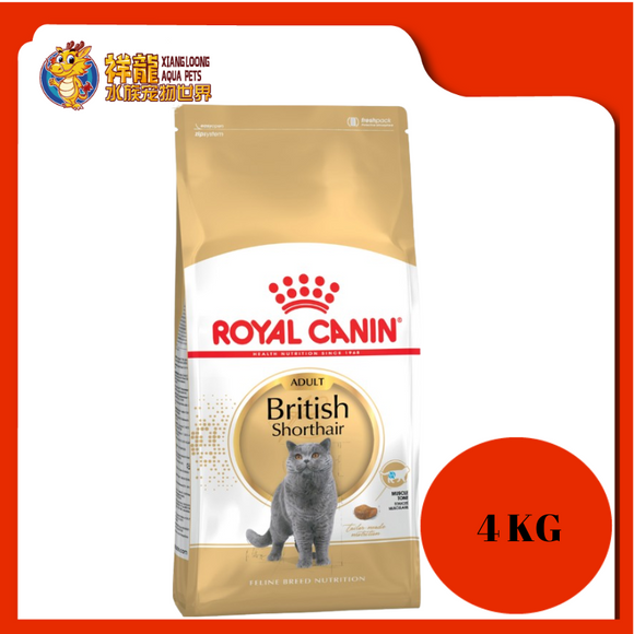 ROYAL CANIN BRITISH SHORT HAIR ADULT CAT FOOD 4KG