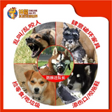 MUZZLE SIZE:3 [32X11CM]
