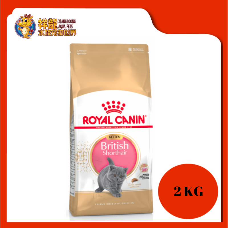 Royal canin kitten 2024 british shorthair 2kg