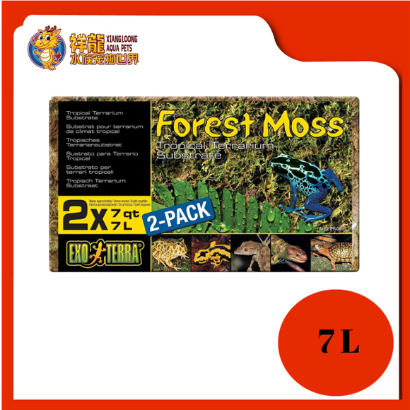FOREST MOSS 7L {PT3095}