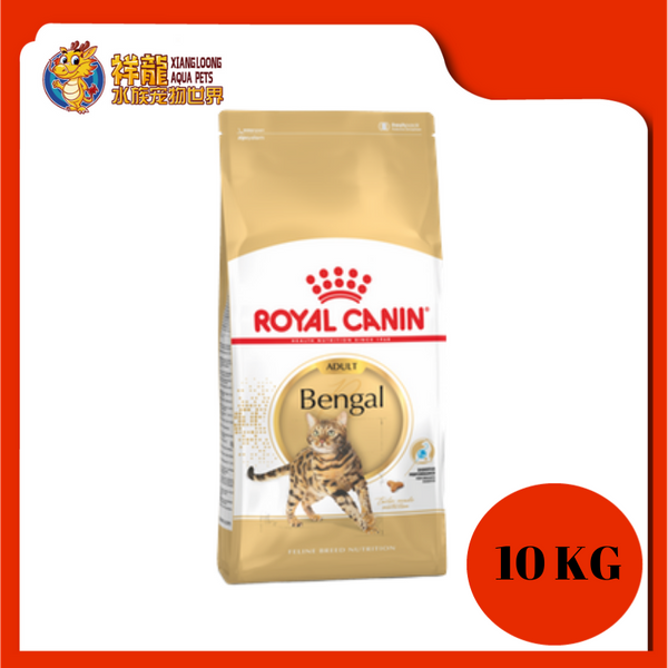 Royal canin bengal clearance 10kg